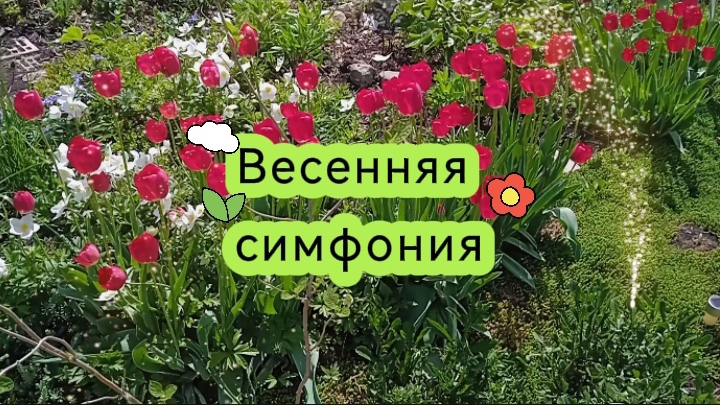 Весенняя симфония — музыка о красоте весенней природы Весенняя симфония — музыка о красоте весенней природы