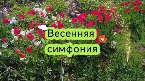 Весенняя симфония - музыка о красоте весенней природы
