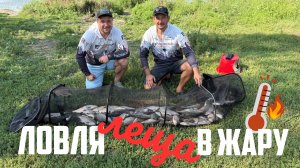 ЛОВЛЯ ФИДЕРОМ ЛЕЩА В ЖАРУ! РЫБАЛКА И ОТДЫХ В КРУГУ ДРУЗЕЙ.