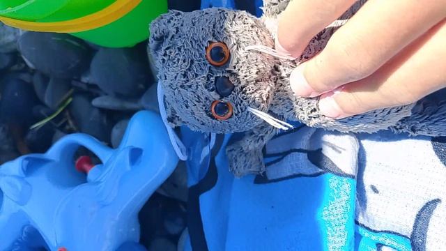 Басик на море, 3 ЧАСТЬ |канал БасАлиса |