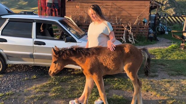 Алтай 2025 часть 2