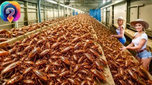 А вы знали, как производят МИЛЛИАРДЫ тараканов?