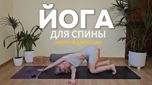 ЙОГА ДЛЯ СПИНЫ — 20 мин практики для любого уровня. Андрианова Ольга