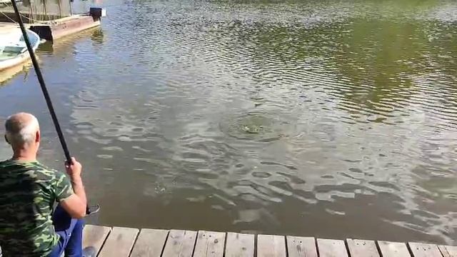Карпуша смотреть онлайн