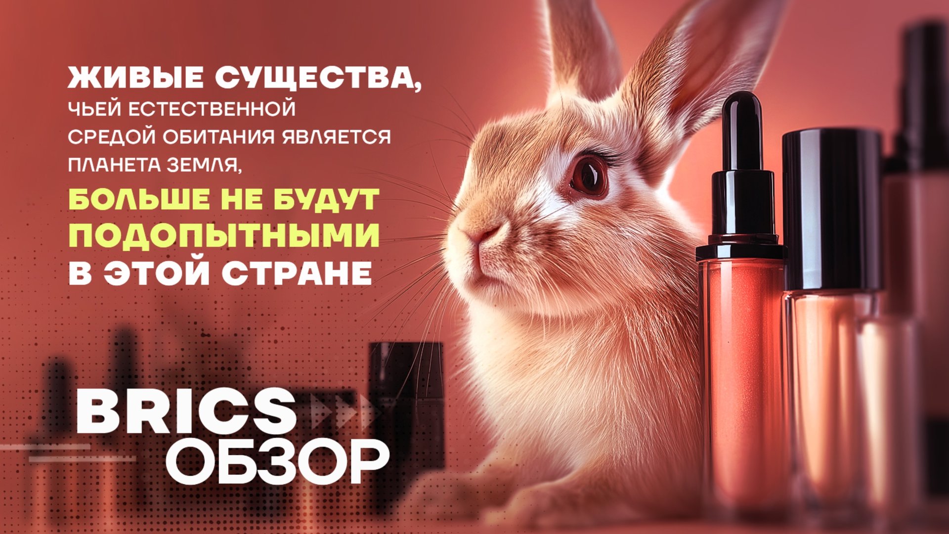 BRICSОБЗОР | Президент Бразилии прдписал закон, запрещающий тестирование косметики на животных