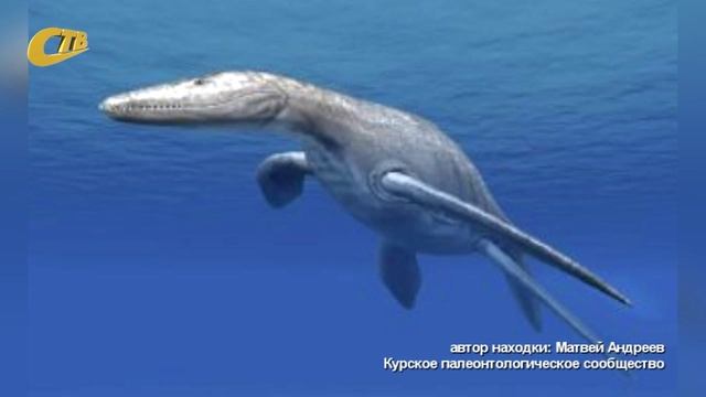 3 АВГУСТА НА ОТВАЛАХ ПОРОДЫ МГОКА НАЙДЕН ОКАМЕНЕЛЫЙ ХВОСТОВОЙ ПОЗВОНОК ПЛИОЗАВРА