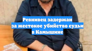 Ревнивец задержан за жестокое убийство судьи в Камышине