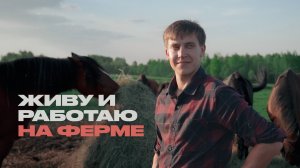 Фермер о медведях, электропастухах и краже лошадей