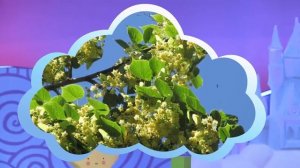 ✨Спокойной ночи, малыши✨120/2025 Июль - макушка лета