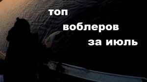 Топ воблеров по судаку за июль 25