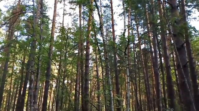 КАК СТАТЬ руководителем/начальником в организации?