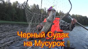 Новое место для рыбалки озеро Охват. Разведка нового водоема Тверской губернии.