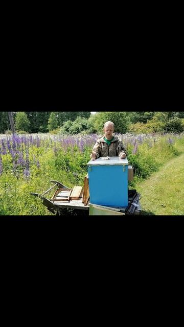 В наличии электрическая воскотопка «Счастье Пчеловода» на 30 рамок 470 на 460. смотреть онлайн