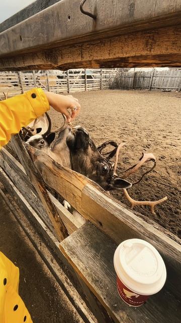 Наш лайф стайл смотреть онлайн