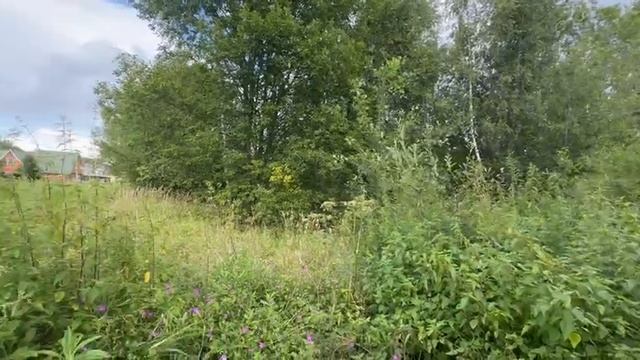 Михайловское 1037