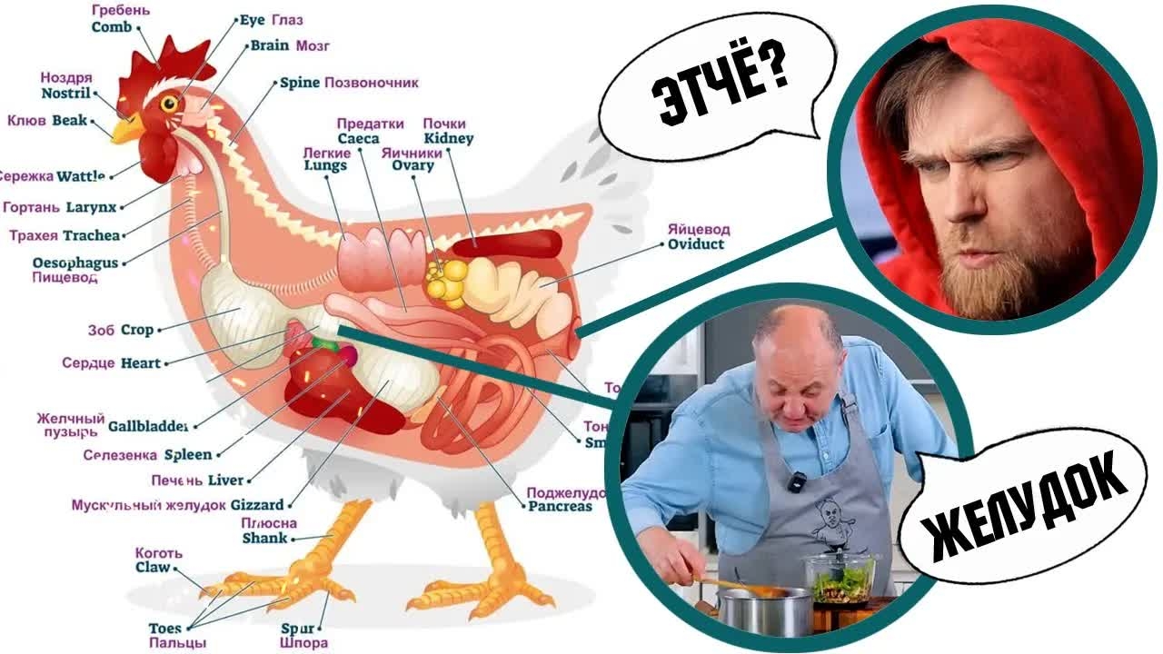 ПОЛУ рецепт ПОЛУ грузинских ПОЛУ желудков ШЕФ-ПОВАРА Ильи Лазерсона смотреть онлайн