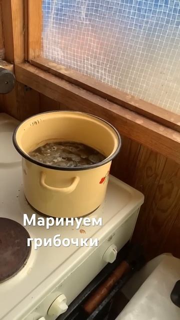 уДачная Жизнь СашиОли