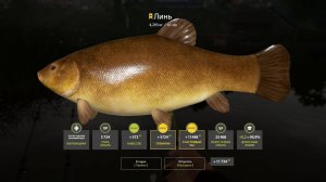 Русская Рыбалка 4 Трофей (Линь) оз. Комариное