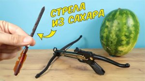 Что если выстрелить из арбалета стрелой из САХАРА в Арбуз?