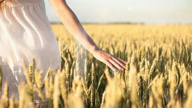 Сильная слабая женщина. смотреть онлайн