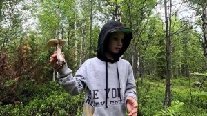 ЗА ГРИБАМИ. НАШЛИ БЕЛЫЙ ГРИБ. ГРИБАЛКА В КАРЕЛИИ