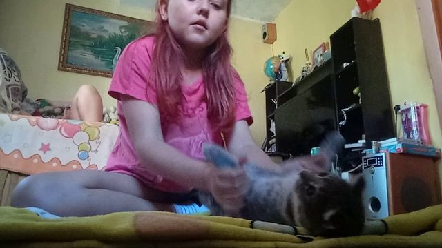 VID_20250814_181418.mp4 смотреть онлайн