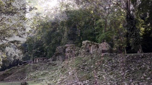 Мексика. Яшчилан. 19.11.2019г. смотреть онлайн