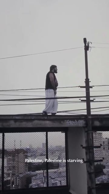 Премьера Shami - «Palestine» #FreePalestine смотреть онлайн