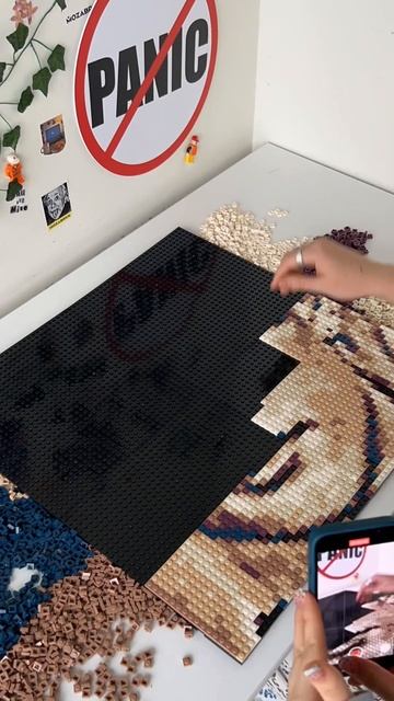 Портрет Феликса с набором Mozabrick ♥️