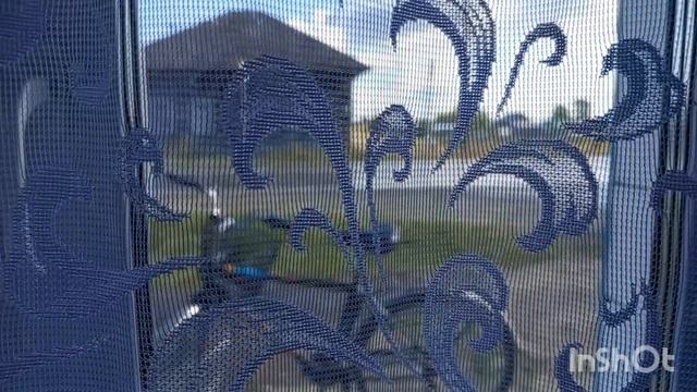 14-15 августа 2025 года.Жизнь в деревне. смотреть онлайн