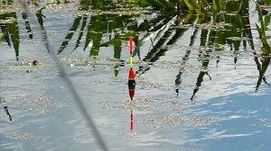 Зачётный КАРАСЬ в заросшем болоте! Рыбалка на поплавочную удочку 2022!