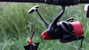 Рыбалка на сазана летом, ловля на флэт фидер