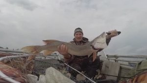 Рыбалка в Сибири, часть 72.