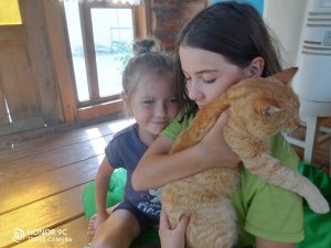 💥ДЕЛАЕМ ЦВЕТОЧНЫЙ КАРТИНУ💥