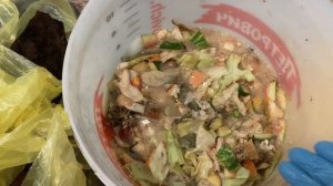 Пищевые отходы для огорода.