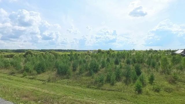3841626, Кулига 2 смотреть онлайн