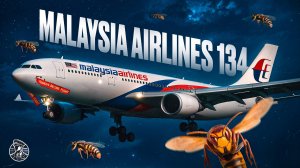 СМЕРТЕЛЬНАЯ ЗАБЫВЧИВОСТЬ! Malaysian Airlines, рейс 134, 18 июля 2018 года