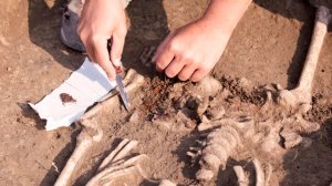 Ров для жертвоприношений обнаружили российские археологи в Ставропольском крае