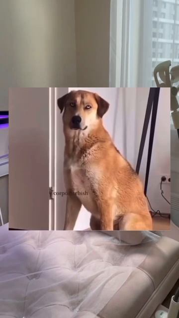 Клуб бьюти мастеров BEAUTY FAMILY