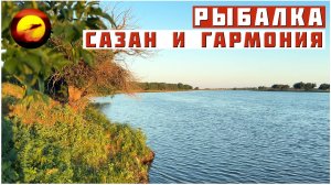 Рыбалка! ЗДЕСЬ ВСЕГДА ТИХО / Ловля Речного Сазана