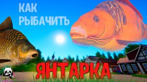 Rf4 сборки для янтарки, какие точки, наживки и секреты #рр4