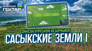 Экскурсия в Крым! Проект: Сасыкские земли I