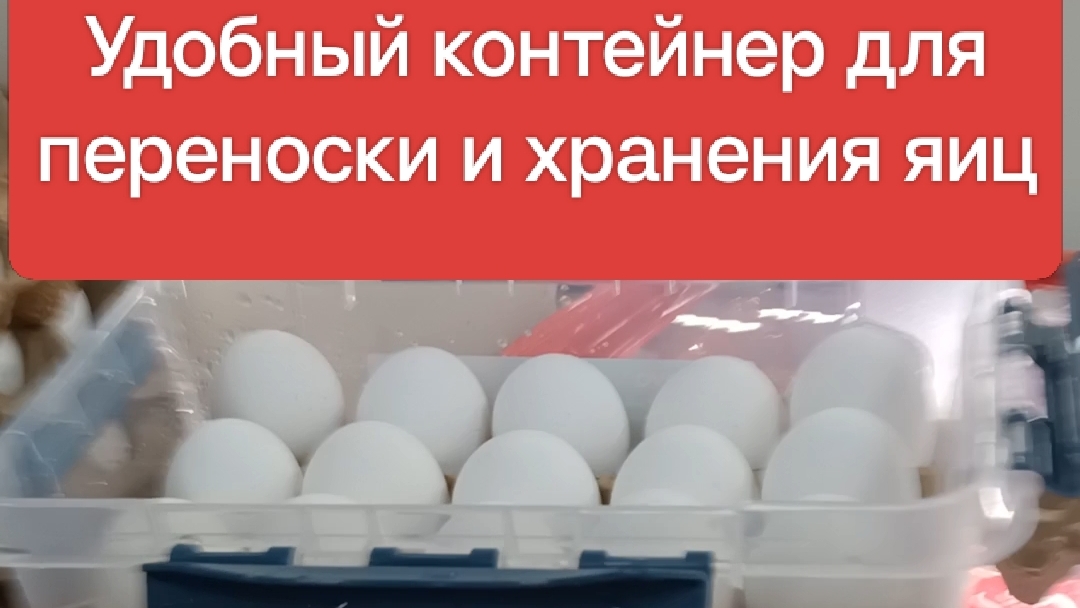 Контейнер для Переноски Яиц Своими Руками: Просто, Быстро и Дешево смотреть онлайн
