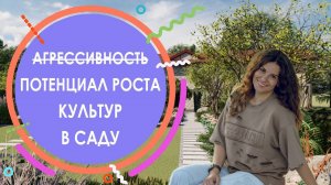 Агрессивность и потенциал роста многолетников и кустарников в саду на примере сада, которому 2 года