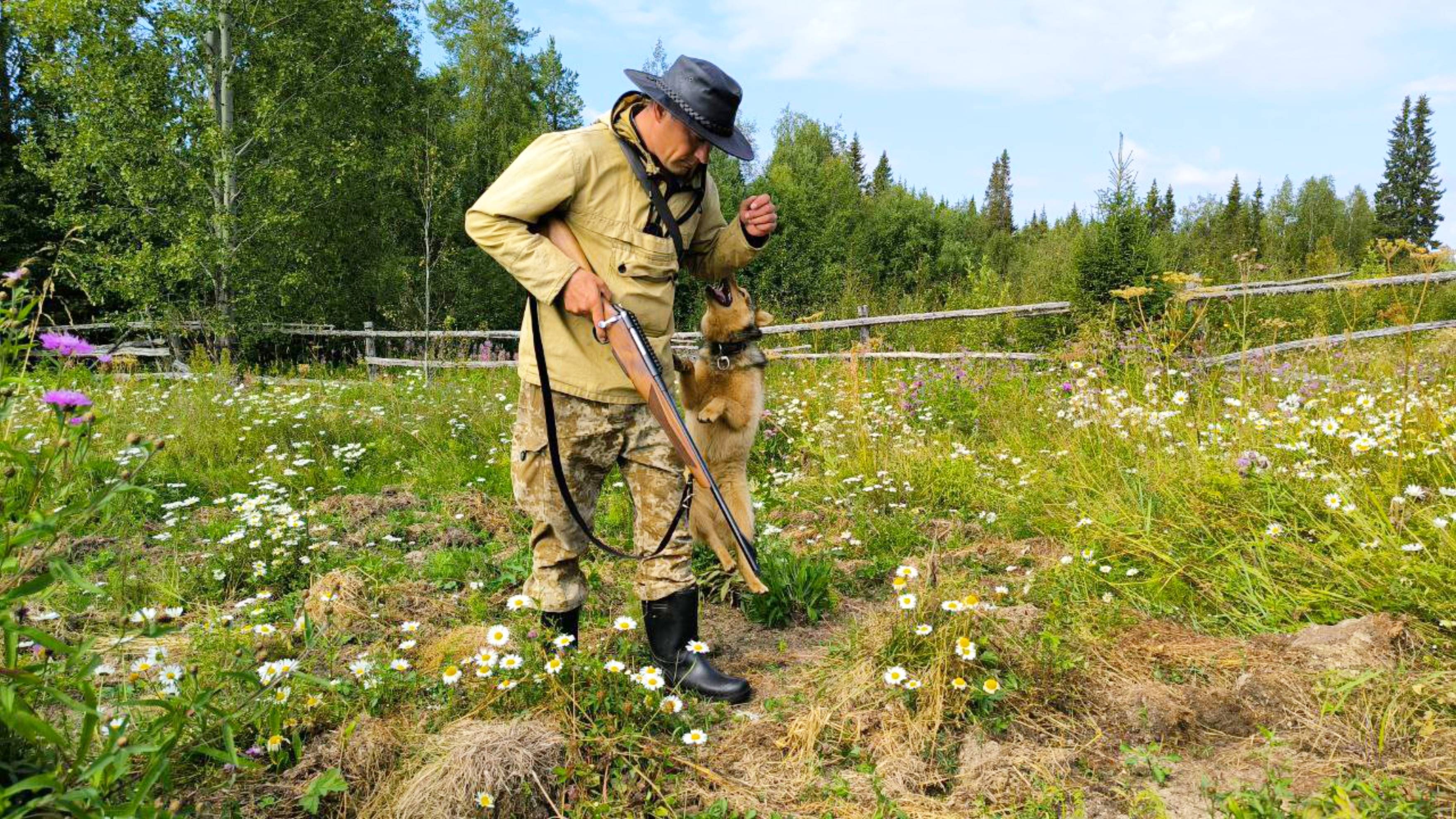 МЕДВЕДИ РАЗРЫЛИ ВСЮ ПОЖНЮ / ЗЕМЛЯ ВЫСОХЛА ДО ПРЕДЕЛА / ЯГОДЫ МЕЛКИЕ И МАЛО / ГРИБОВ НЕТ.