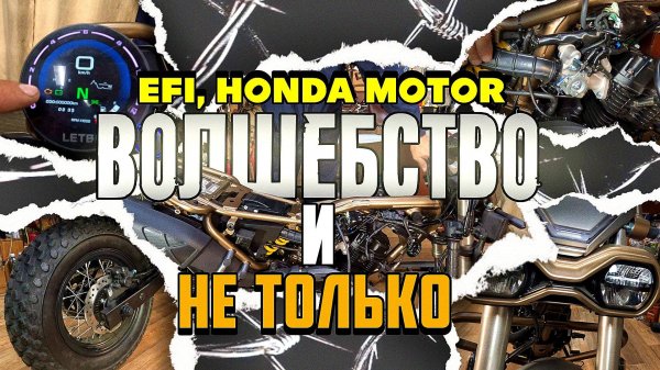 YAMAHA - ЭТО И НЕ СНИЛОСЬ! Regulmoto WIZARD сборка, обзор и тест драйв!
