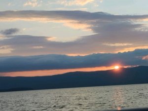 обзор всех моих заколок!!!