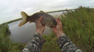 ДА ЧТО ЖЕ ОН ВЫТВОРЯЕТ ЭТОТ КАРП!!!!????