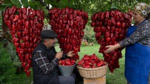 Делаем Пасту Из Свежих Садовых Перцев 🌶️