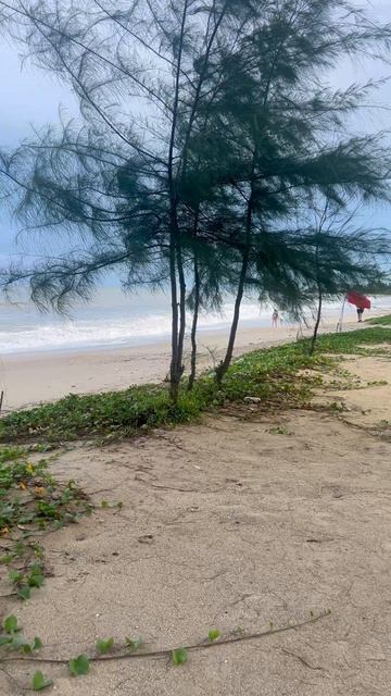 Grand Mercure Khao Lak Bangsak 5*